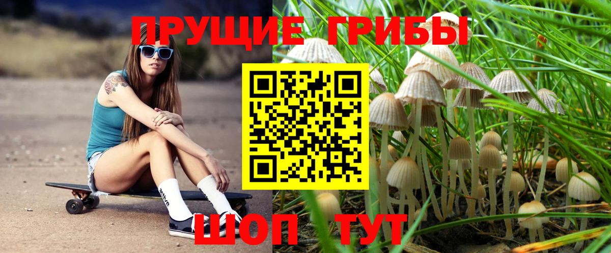 Галлюциногенные грибы ЛСД  Псилоцибиновые грибы GOLDEN TEACHER  Верхняя Пышма  Вход с VPN 