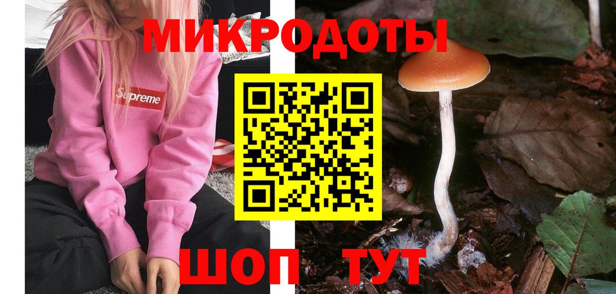 Псилоцибиновые грибы ЛСД Верхняя Пышма
