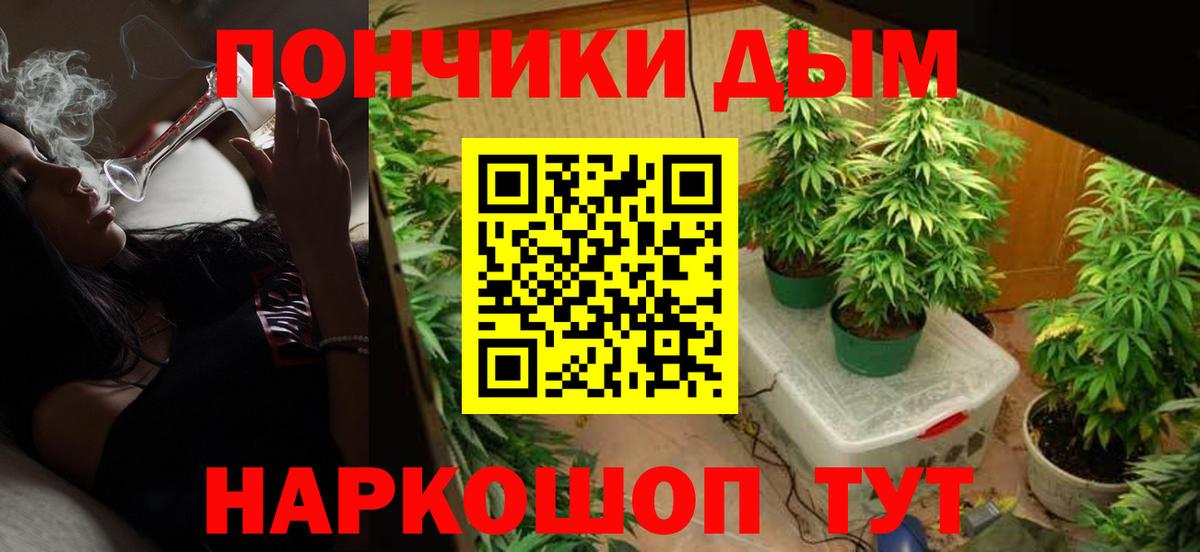 Шишки марихуана планчик  МАРИХУАНА ГИДРОПОН  Верхняя Пышма  Вход с VPN  Марихуана Amnesia 